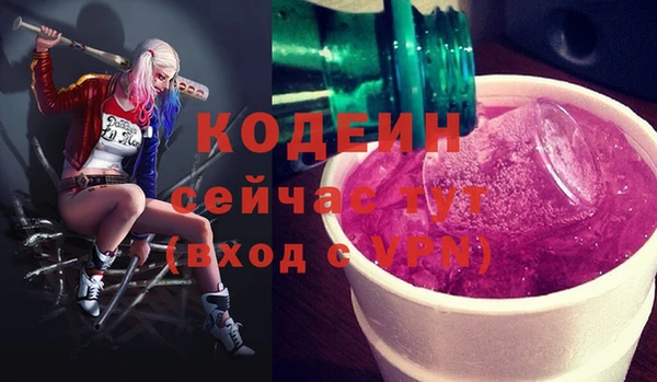 прущий лед Кодинск