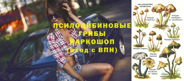 тгк Кинешма