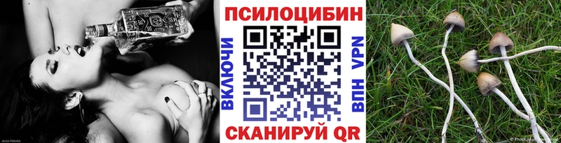 Галлюциногенные грибы Psilocybe Красновишерск